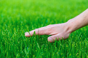 Laying Artifical Grass on Soil in Burton-upon-Trent